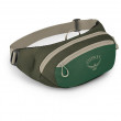 Nerka Osprey Daylite Waist II zielony/zielony green canopy/green creek