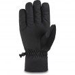Rękawiczki Dakine Bronco Gore-Tex Glove (2021)