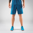 Męskie szorty Dynafit Alpine 2 M Shorts