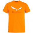Koszulka męska Salewa Solidlogo Dri-Rel M S/S Tee pomarańczowy GloryMelange