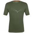 Męska koszulka Salewa Pure Eagle Sketch Am M T-Shirt zielony thyme