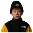 Czapka The North Face Kids Tnf Box Logo Cuffed Beanie