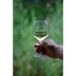 Kieliszek GSI Outdoors Nesting Red Wine Glass (2021)