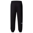 Męskie spodnie dresowe The North Face M Essential Jogger