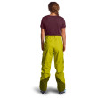 Spodnie damskie Ortovox W's 3L Deep Shell Pants