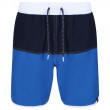 Męski strój kąpielowy Regatta Benicio SwimShort niebieski LapisBl/Navy