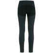 Damskie legginsy Fjällräven Abisko Trekking Tights HD W