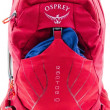 Plecak Osprey Raptor 10 II