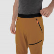 Męskie spodnie softshellowe Salewa SELLA DST M LIGHT PANTS