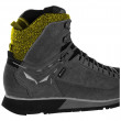 Buty damskie Salewa Ws Mtn Trainer 2 Winter Gtx