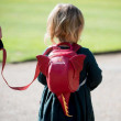 Plecak dziecięcy LittleLife Animal Toddler Backpack Dragon