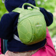 Plecak dziecięcy LittleLife Animal Toddler Turtle