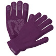 Rękawiczki Regatta Brevis Gloves fioletowy Winberry