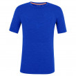 Męska koszulka Salewa Pure Eagle Amr M Smles Tshirt. niebieski Electric