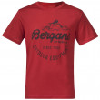 Koszulka męska Bergans Graphic Wool Tee ceglasty Dark Brick/Chianti Red