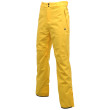 Męskie spodnie narciarskie Dare 2b Straight Up Pant żółty