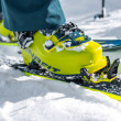 Buty skiturowe Dynafit Radical Pro
