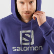 Bluza Salomon Outlife Logo Pullover Hoodie