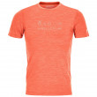 Koszulka męska Ortovox 120 Cool Tec Wool Wash Ts M pomarańczowy DesertOrangeBlend