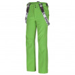 Męskie spodnie narciarskie Husky Galti M (2016) zielony Green