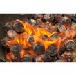 Brykiet do grilla CasusGrill Bamboo Charcoal Briquettes