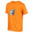 Koszulka męska Regatta Fingal Slogan pomarańczowy Flame Orange