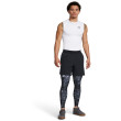 Męskie legginsy Under Armour HG Armour Prtd Lgs