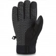 Rękawiczki Dakine Impreza Gore-Tex Glove