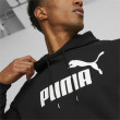 Męska bluza Puma ESS Big Logo Hoodie FL