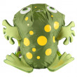 Plecak dziecięcy LittleLife Animal Kids SwimPak Green Frog