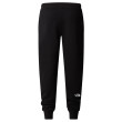 Męskie spodnie dresowe The North Face M Drew Peak Pant