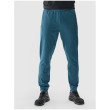 Męskie spodnie dresowe 4F Trousers Fnk M682