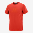 Koszulka męska Salomon Blend Logo Ss Tee M czerwony