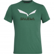 Koszulka męska Salewa Solidlogo Dri-Rel M S/S Tee zielony MyrtleMelange