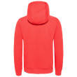 Męska bluza The North Face Drew Peak Pullover Hoodie