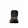 Buty męskie Columbia Newton Ridge™ Plus II Waterproof