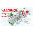 Napój fitness Nutrend Carnitine Magnesium Activity Drink