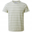 Koszulka męska Craghoppers Sten SS T-Shirt zielony Sage Stripe