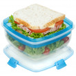 Pudełko na jedzenie Sistema Salad + Sandwich TO GO 1,63L