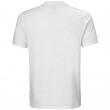 Koszulka męska Helly Hansen Nord Graphic T-Shirt