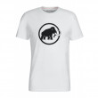 Koszulka męska Mammut Logo T-Shirt Men (2019) biały BrightWhitePrt