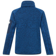 Bluza dziecięca Regatta Junior Newhill Aviator Blue Golden Cypress
