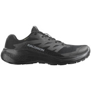 Buty męskie Salomon Alphaglide Gore-Tex