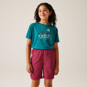 T-shirt dziecięcy Regatta Alvarado IX