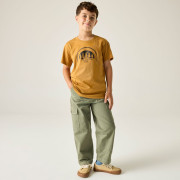 T-shirt dziecięcy Regatta Bosley Wood Brown