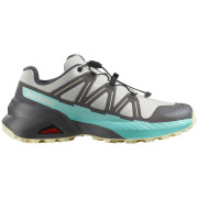 Buty damskie Salomon Speedcross Peak szary/niebieski Icicle / Castlerock / Aruba Blue