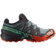 Buty do biegania dla mężczyzn Salomon Speedcross 6 Gore-Tex niebieski/zielony North Atlantic / Black / Cherry Tomato