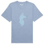 Koszulka męska Cotopaxi Into the Pines T-Shirt niebieski foam