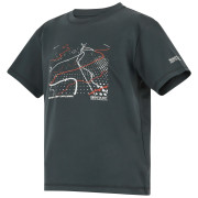 T-shirt dziecięcy Regatta Alvarado Seal Grey