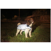 Peleryna dla psa Mountain Paws Reflective Fleece-Lined Dog Raincoat